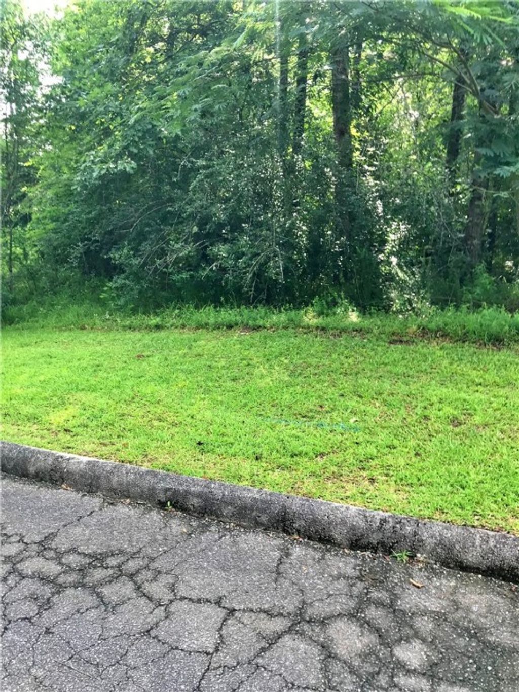 Photo of 0 ALTHEA Loop, Alexander City, AL 35010 (MLS # 175440)