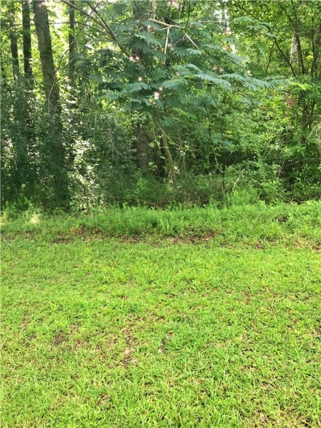 Photo of 0 ALTHEA Loop, Alexander City, AL 35010 (MLS # 175440)