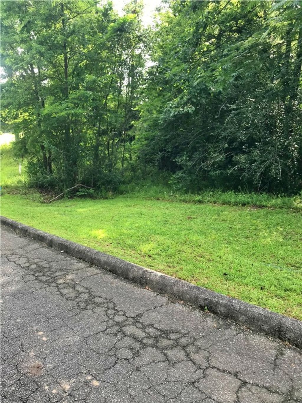 Photo of 0 ALTHEA Loop, Alexander City, AL 35010 (MLS # 175440)