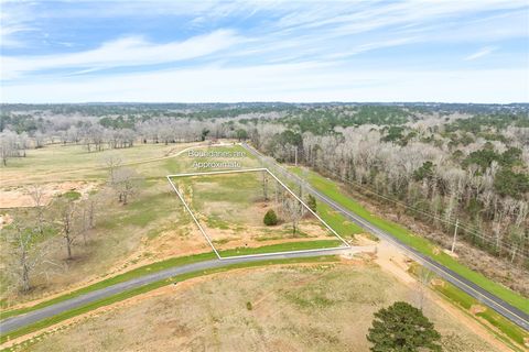 Photo of 1500 ROCKHOUSE FARMS Road, Auburn, AL 36830 (MLS # 179131)