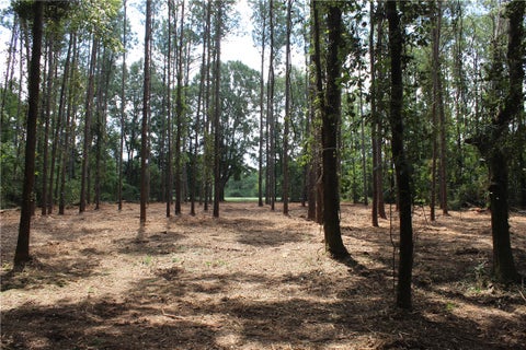 Photo of 3 AL HIGHWAY 14, Notasulga, AL 36866 (MLS # 181800)