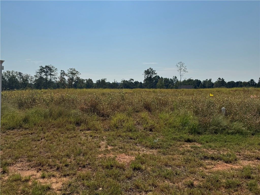 Photo of 16 LONG LEAF Lane, Opelika, AL 36804 (MLS # 176692)