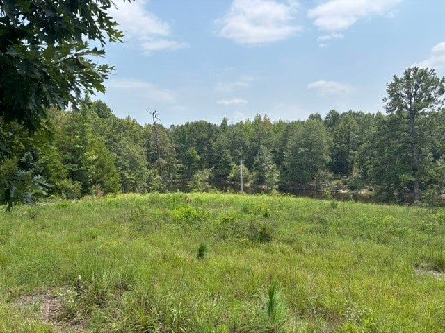 Photo of 4 SOCIETY HILL Road, Auburn, AL 36830 (MLS # 181656)
