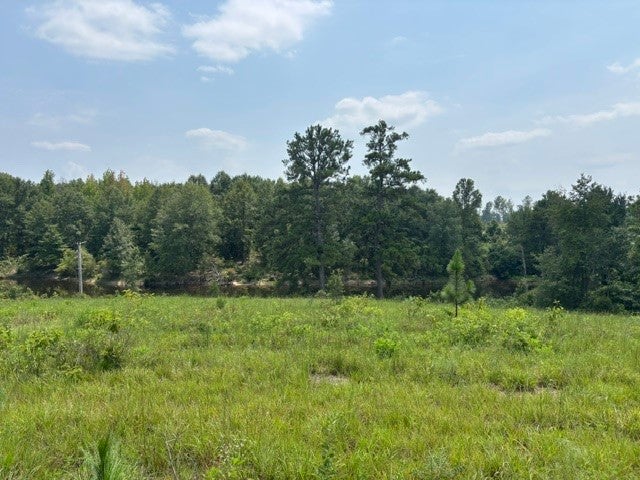 Photo of 4 SOCIETY HILL Road, Auburn, AL 36830 (MLS # 181656)