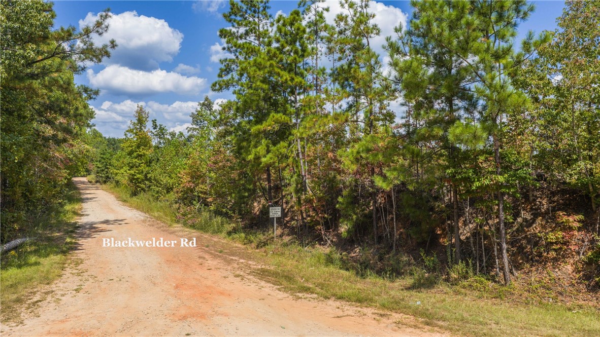 51 +/- ACRES MADWIND Road