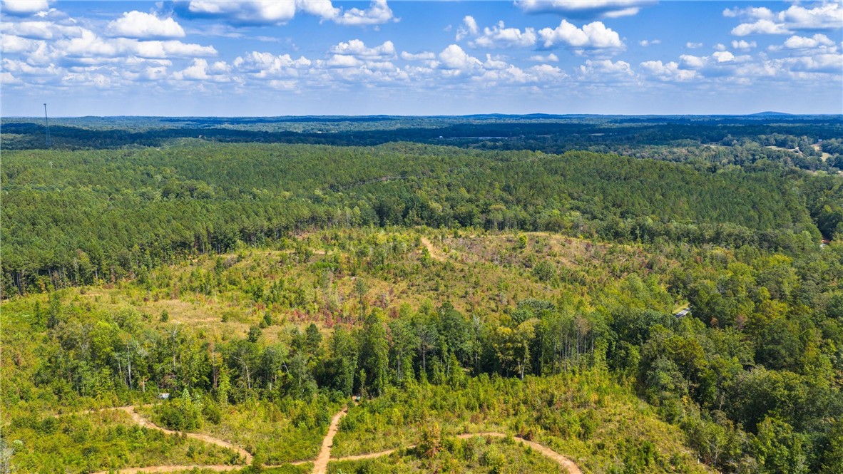 51 +/- ACRES MADWIND Road