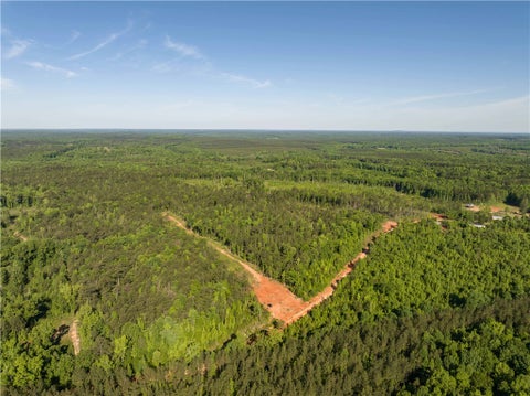 Photo of 0 WIGDON Road, Opelika, AL 36801 (MLS # 180298)