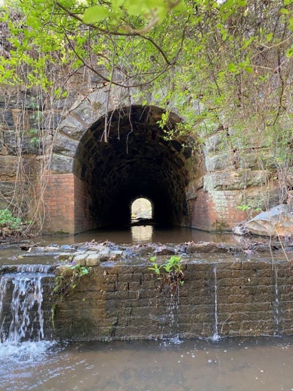 Photo of 0 LEE ROAD 391, Opelika, AL 36804 (MLS # 170016)