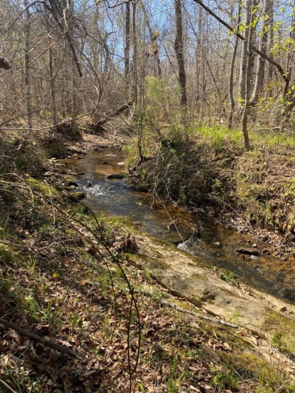 Photo of 0 LEE ROAD 391, Opelika, AL 36804 (MLS # 170016)