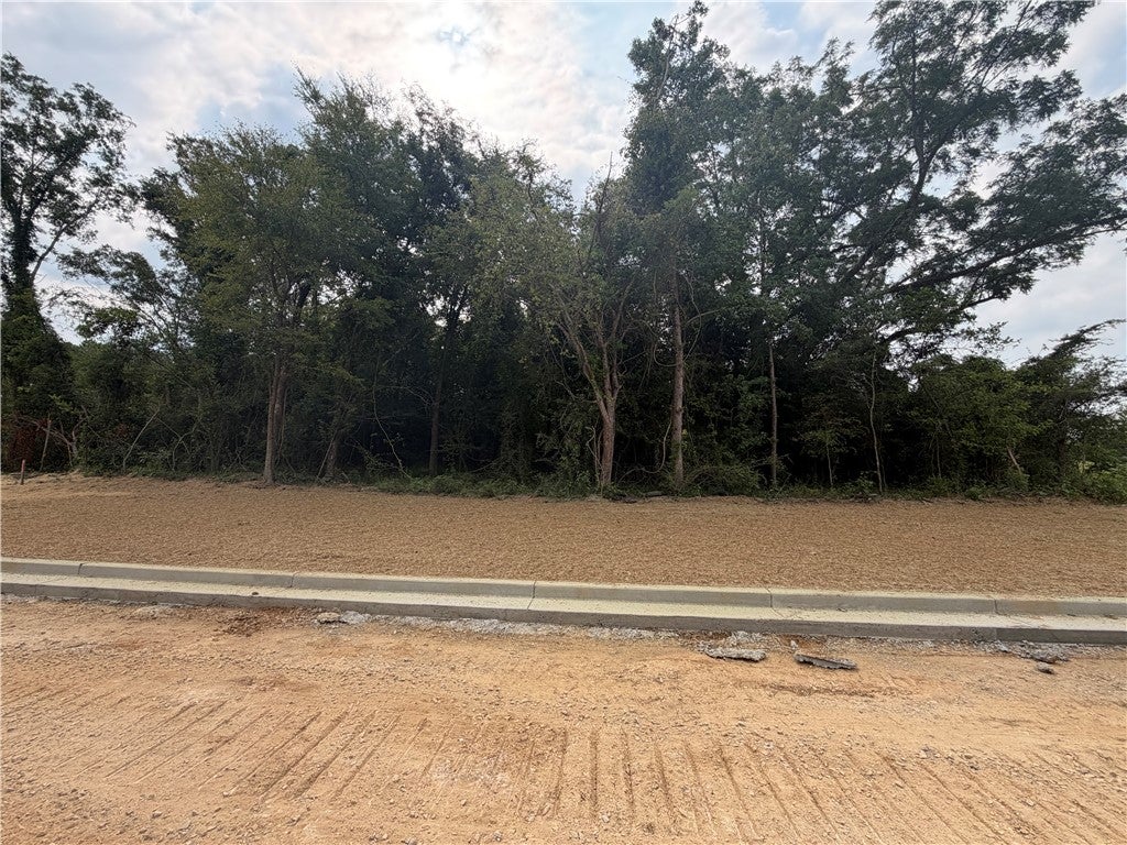 Photo of 1 HOMESTEAD Lane, Smiths Station, AL 36877 (MLS # 182215)