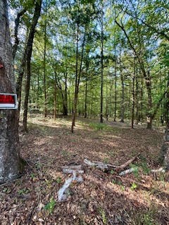 Parcel A Lee Road 390