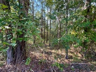 Parcel A Lee Road 390