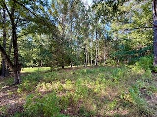 Parcel A Lee Road 390