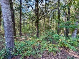 Parcel A Lee Road 390