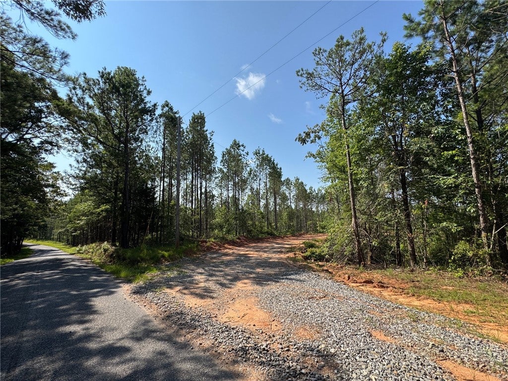 Photo of 0 PARKER ISLAND Road, Equality, AL 36026 (MLS # 181490)