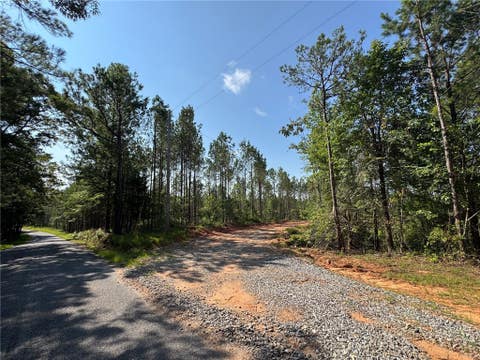 Photo of 0 PARKER ISLAND Road, Equality, AL 36026 (MLS # 181490)