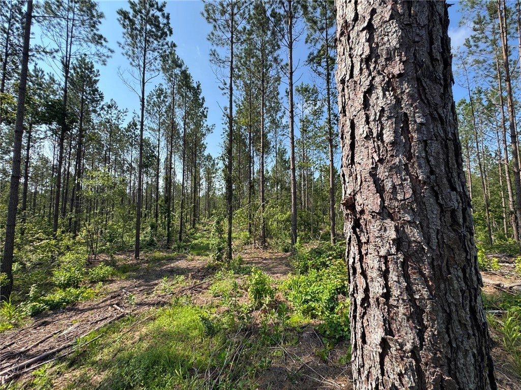 Photo of 0 PARKER ISLAND Road, Equality, AL 36026 (MLS # 181490)