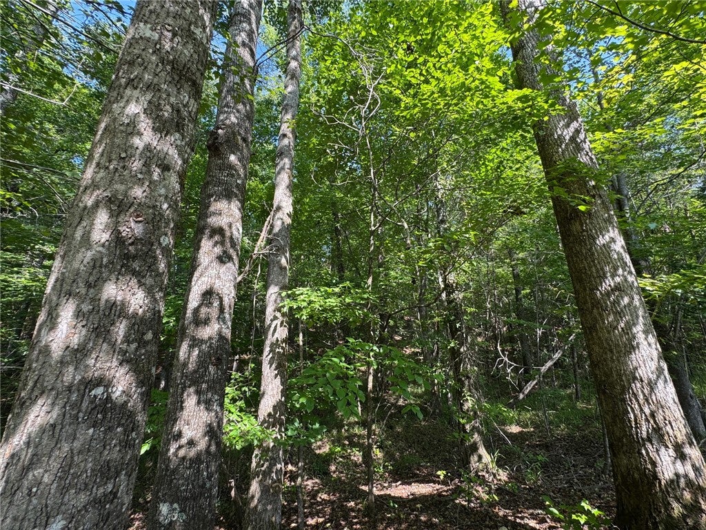 Photo of 0 PARKER ISLAND Road, Equality, AL 36026 (MLS # 181490)