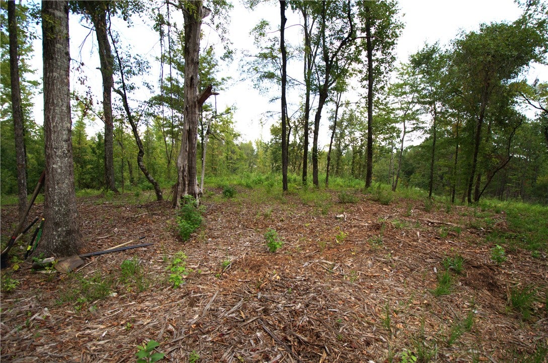 0 TALLAPOOSA Road