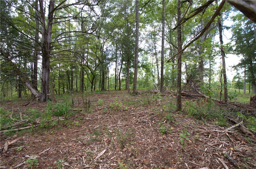 Photo of 0 TALLAPOOSA Road, Camp Hill, AL 36850 (MLS # 182471)