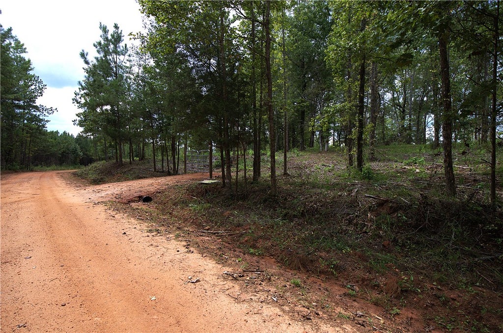 Photo of 0 TALLAPOOSA Road, Camp Hill, AL 36850 (MLS # 182471)