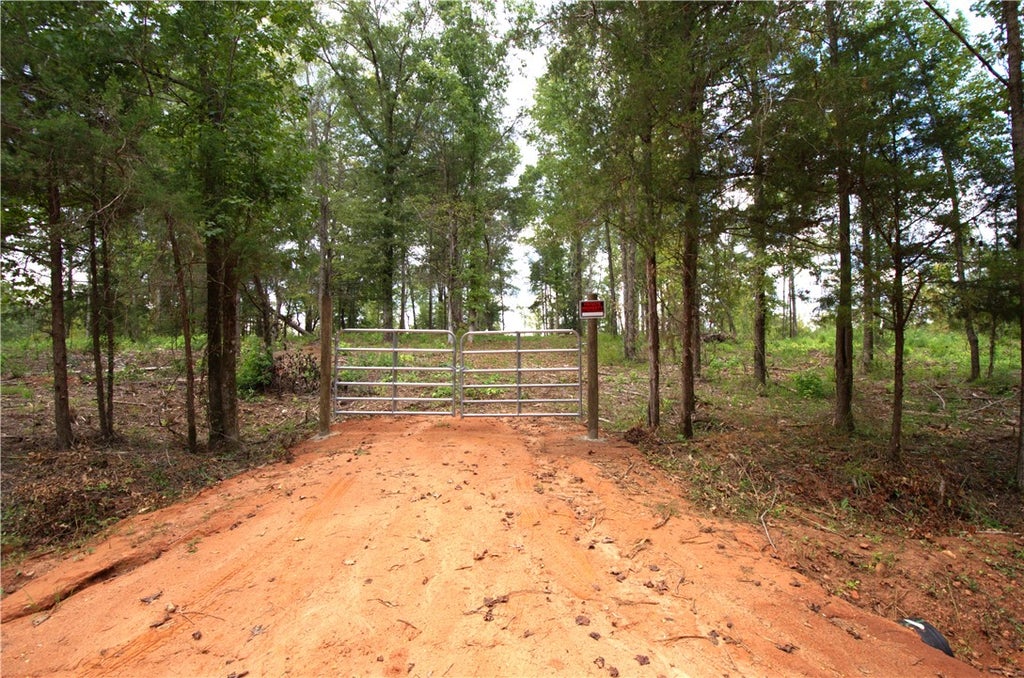 Photo of 0 TALLAPOOSA Road, Camp Hill, AL 36850 (MLS # 182471)