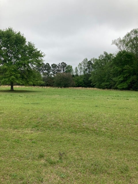 0 PLANTATION Way
