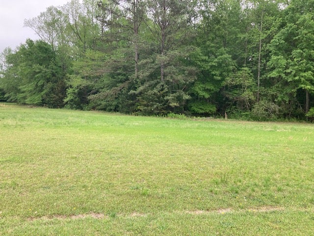 0 PLANTATION Way