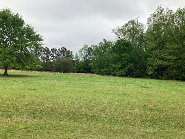 0 PLANTATION Way