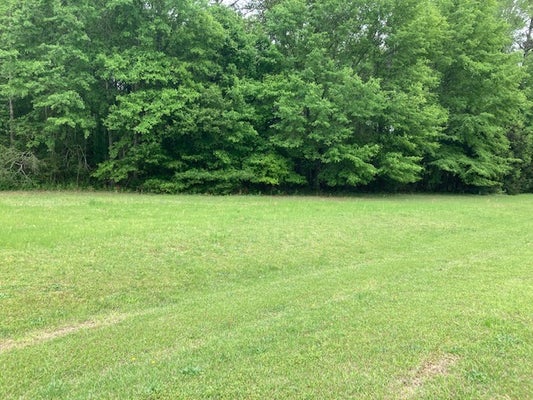 0 PLANTATION WAY, AUBURN, AL 36832 - Image 63f507ffa4eff321c3cd4a65d0fcdcf6/885120763