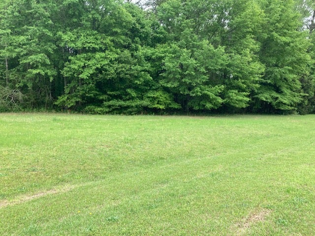 Photo of 0 PLANTATION Way, Auburn, AL 36832 (MLS # 182689)