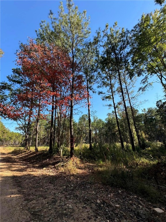 6 COUNTY ROAD 278