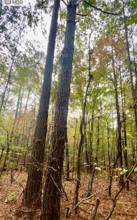 Photo of 10684 HIGHWAY 22, New Site, AL 36256 (MLS # 172421)