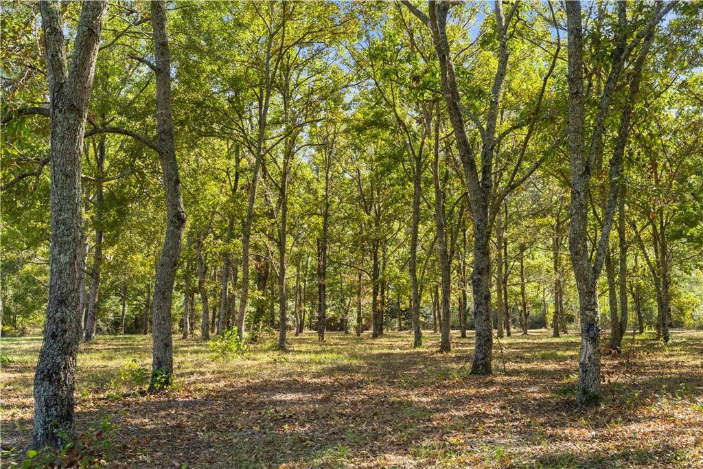 Photo of 1163 Highway 165, Ft Mitchell, AL 36856 (MLS # 177421)