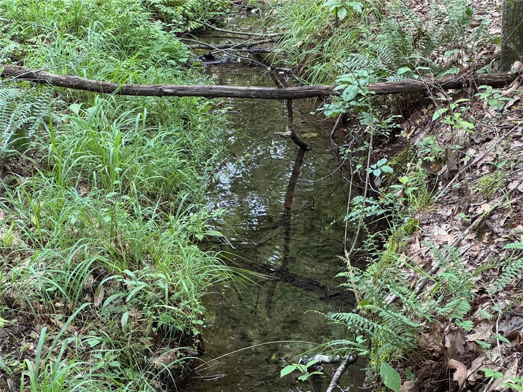 Photo of 0 PARKER ISLAND Road, Equality, AL 36026 (MLS # 181494)