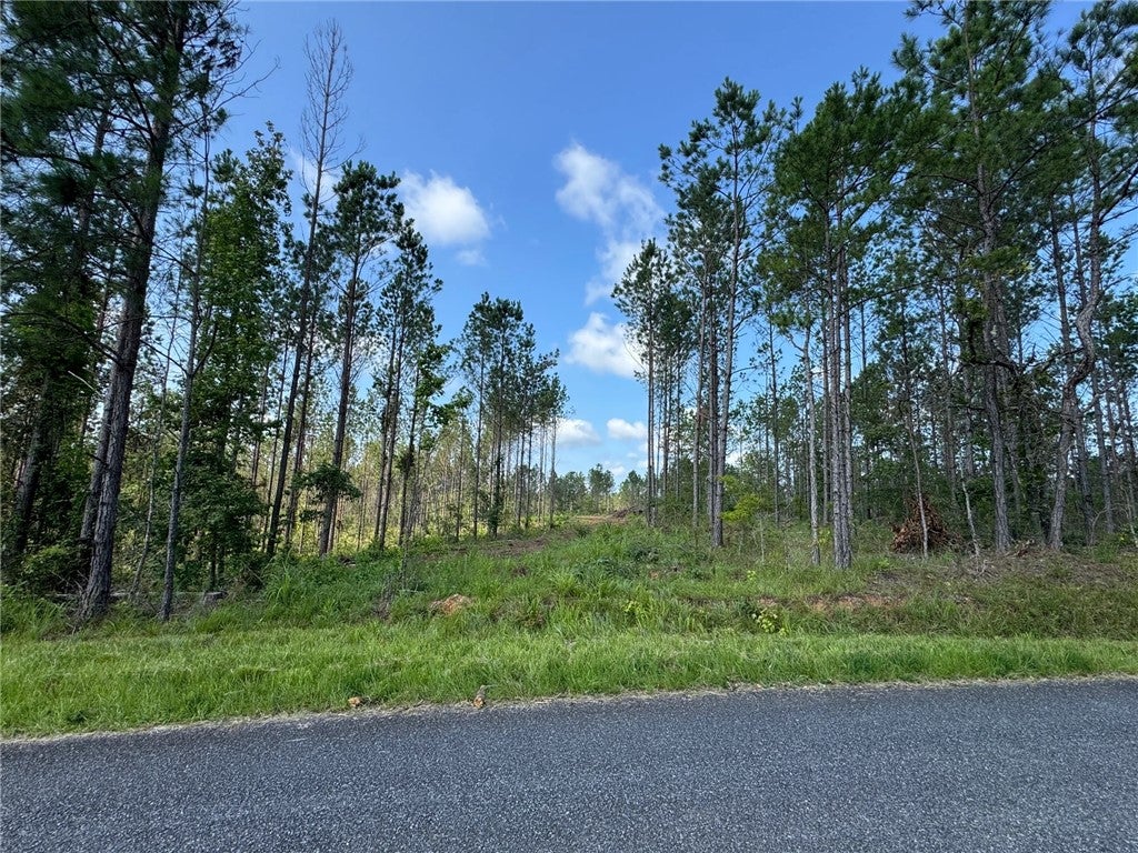 Photo of 0 PARKER ISLAND Road, Equality, AL 36026 (MLS # 181494)