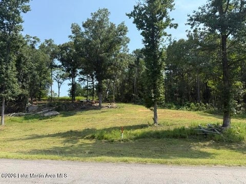 Photo of 1051 PATRICK Street, Waverly, AL 36879 (MLS # 182140)