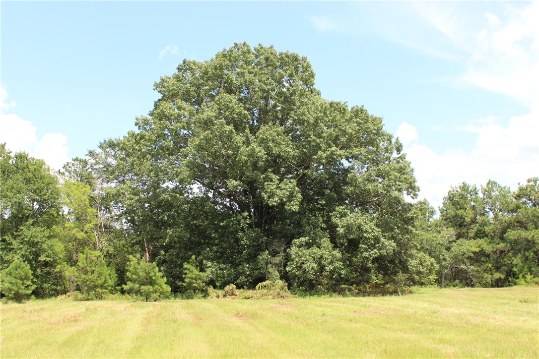 0 BROOKS Road