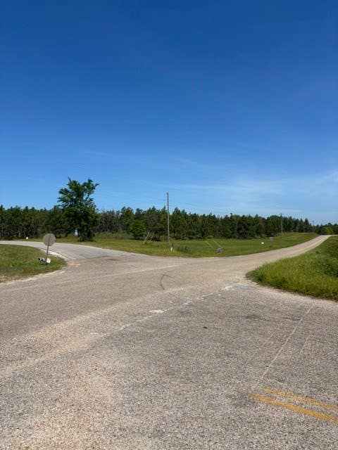 Photo of 3 SOCIETY HILL Road, Auburn, AL 36830 (MLS # 180773)