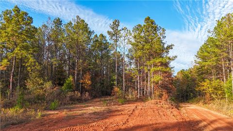Photo of 0 COUNTY ROAD 95, Lafayette, AL 36862 (MLS # 177919)