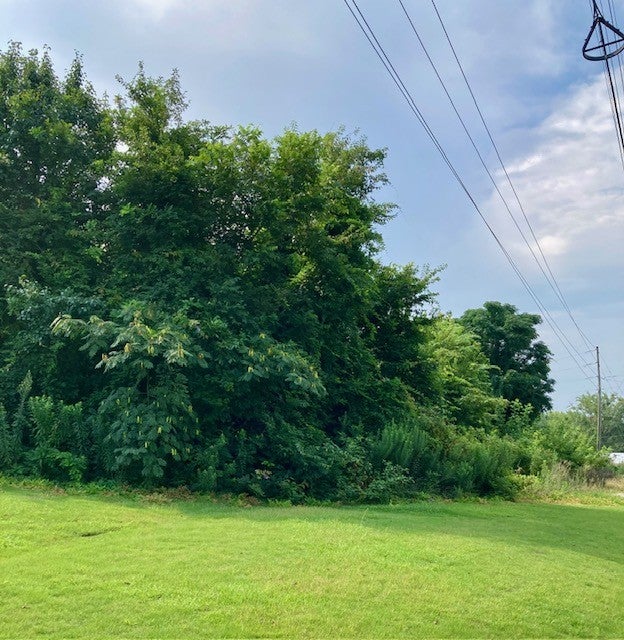 Photo of 0 LAFAYETTE Parkway, Opelika, AL 36801 (MLS # 181723)