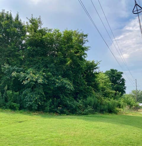 Photo of 0 LAFAYETTE Parkway, Opelika, AL 36801 (MLS # 181723)