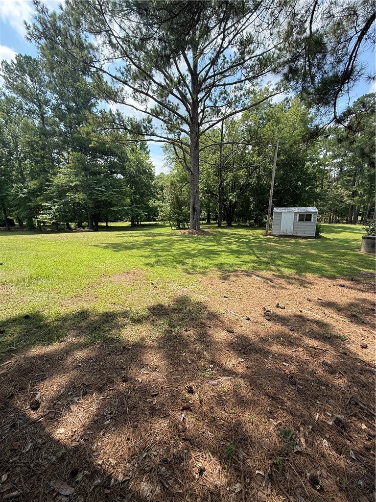 Photo of 8247 COUNTY ROAD 28, Lafayette, AL 36862 (MLS # 181717)
