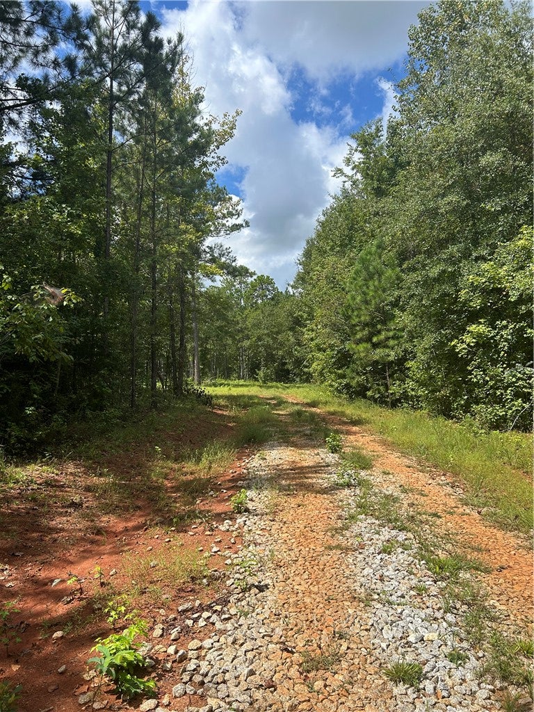 Photo of 3209 COUNTY ROAD 177, Cusseta, AL 36852 (MLS # 182146)