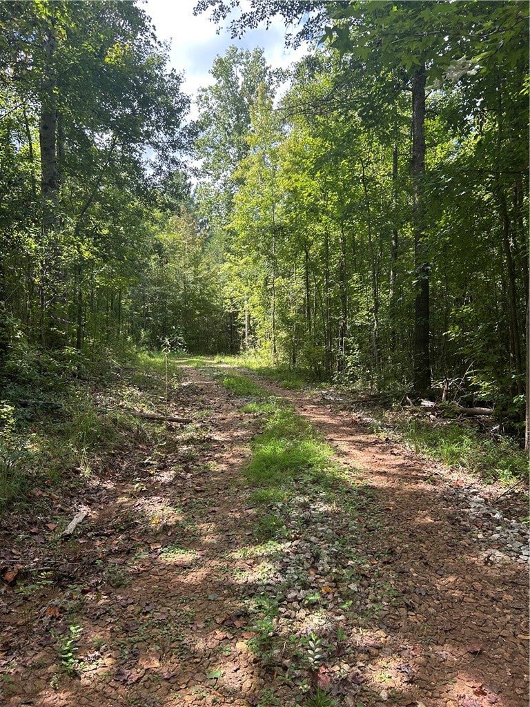 3209 COUNTY ROAD 177
