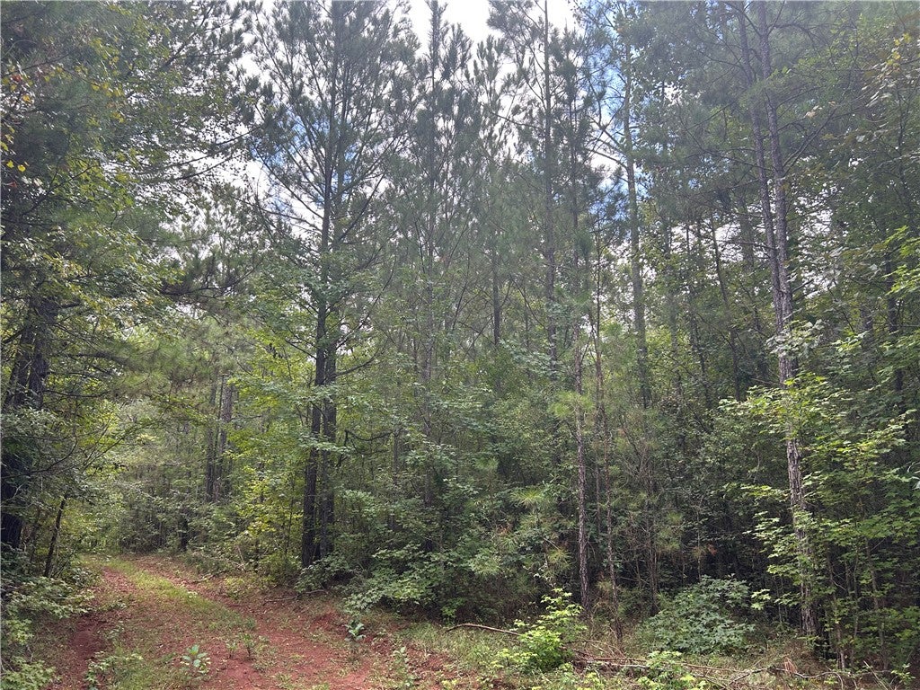 3209 COUNTY ROAD 177
