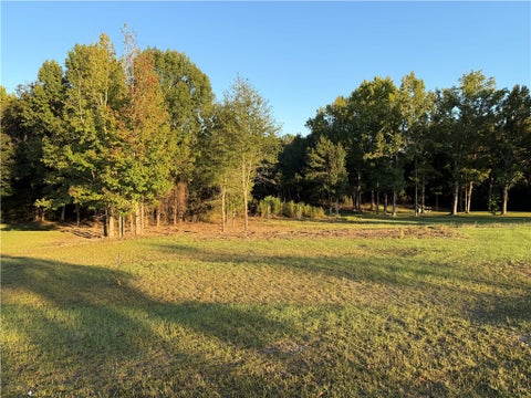 Photo of 0 LEE ROAD 166, Opelika, AL 36804 (MLS # 182747)