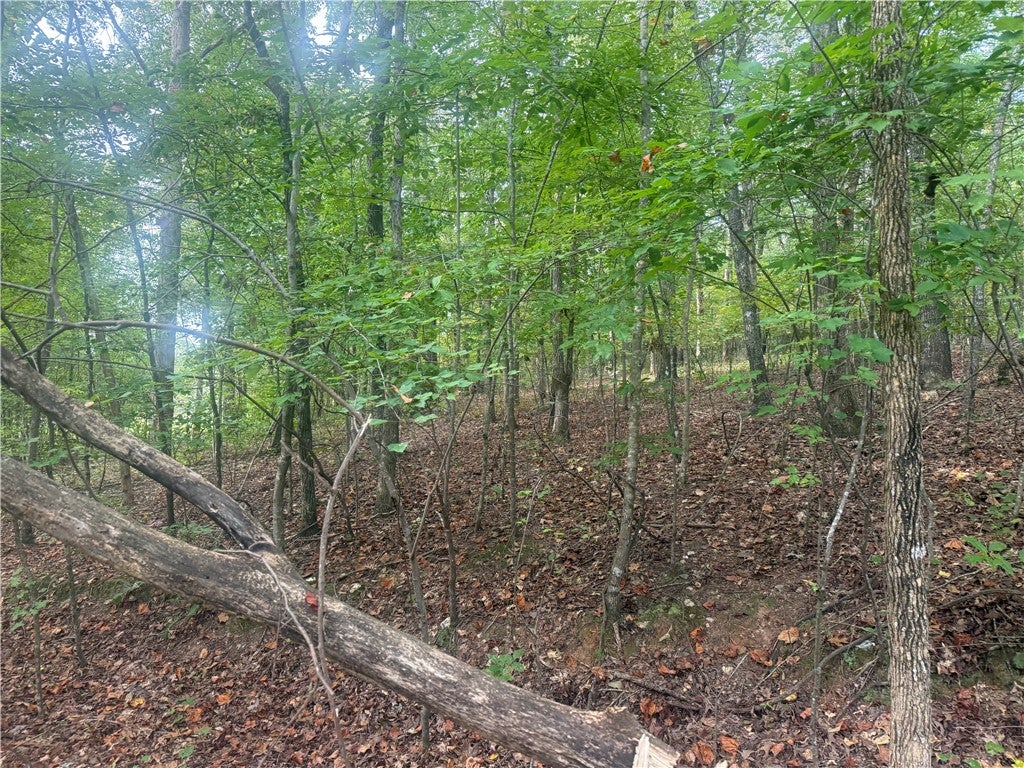 Photo of 52 COOSA COUNTY ROAD 50, Goodwater, AL 35072 (MLS # 182466)