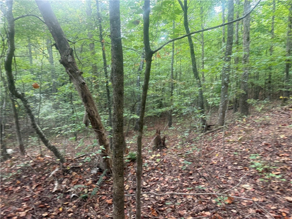 Photo of 52 COOSA COUNTY ROAD 50, Goodwater, AL 35072 (MLS # 182466)