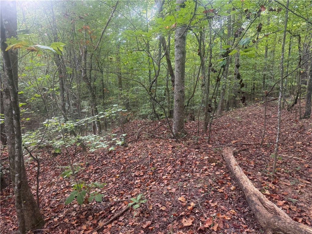 Photo of 52 COOSA COUNTY ROAD 50, Goodwater, AL 35072 (MLS # 182466)